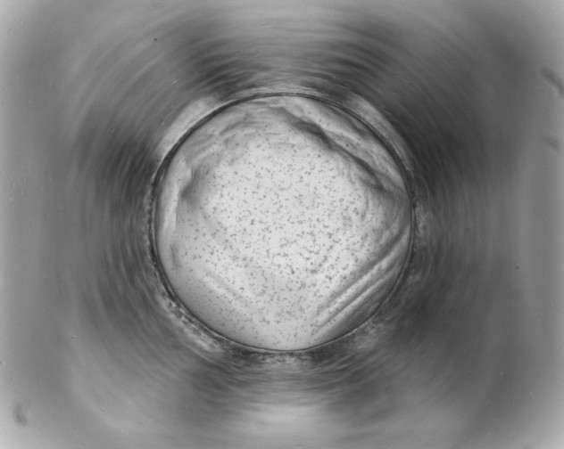 X0000102231002200808151725