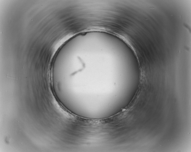 X0000102231003200808151725