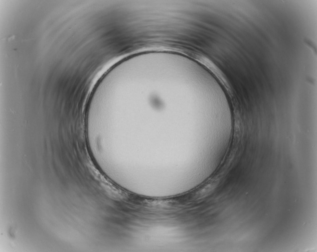 X0000102231004200808151725