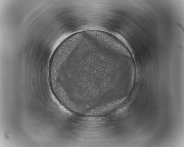 X0000102231005200808151725
