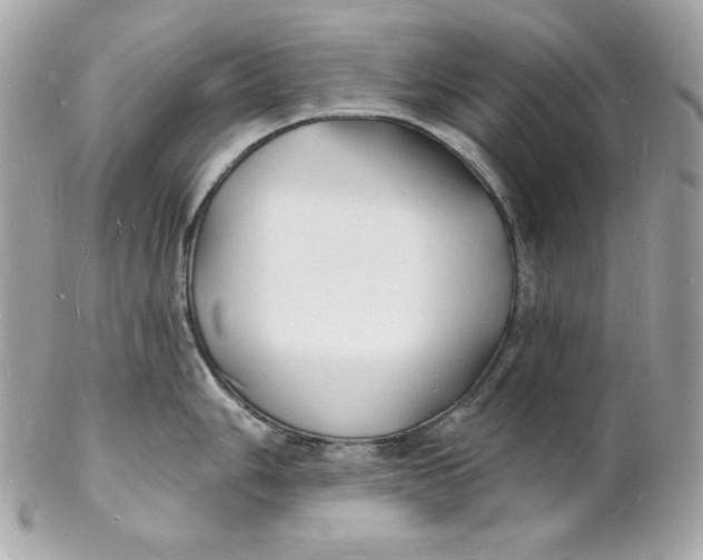 X0000102231006200808151725