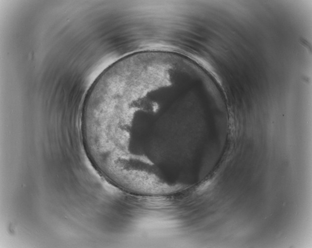 X0000102231007200808151725