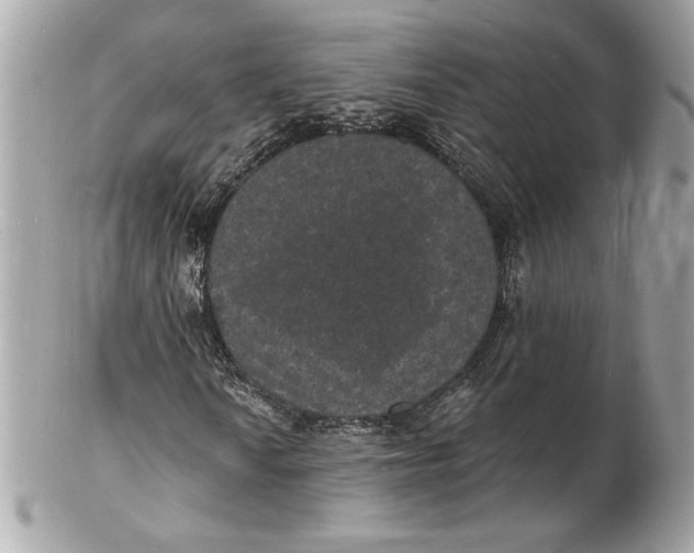 X0000102231010200808151724