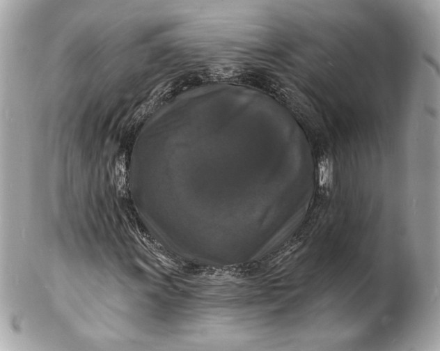 X0000102231011200808151724
