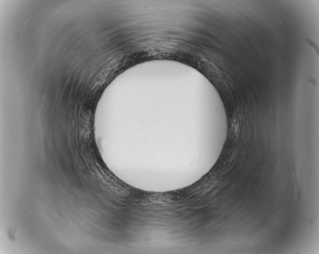 X0000102231012200808151724