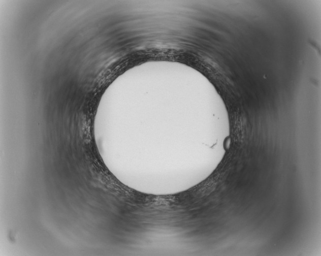 X0000102231013200808151724