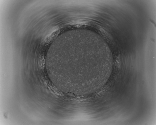 X0000102231014200808151724