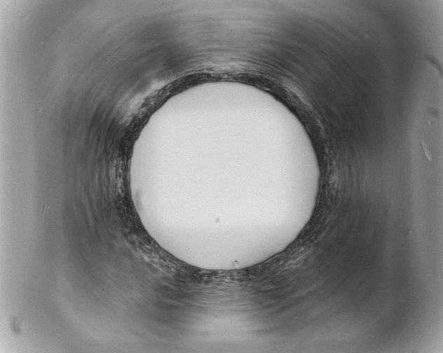 X0000102231016200808151724