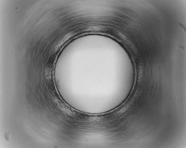 X0000102231017200808151724
