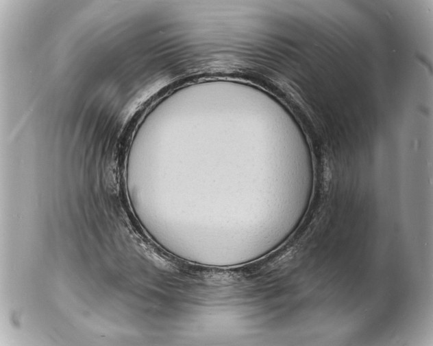 X0000102231018200808151724
