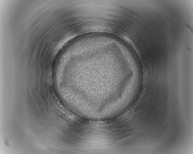 X0000102231019200808151724