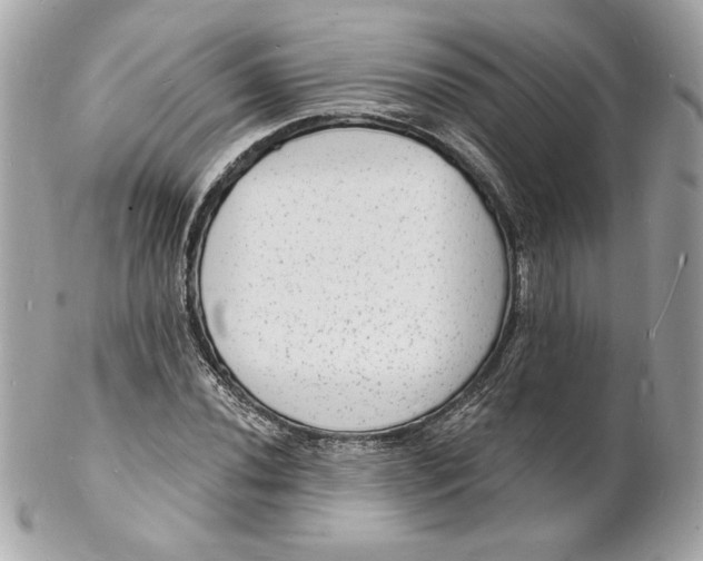X0000102231020200808151724