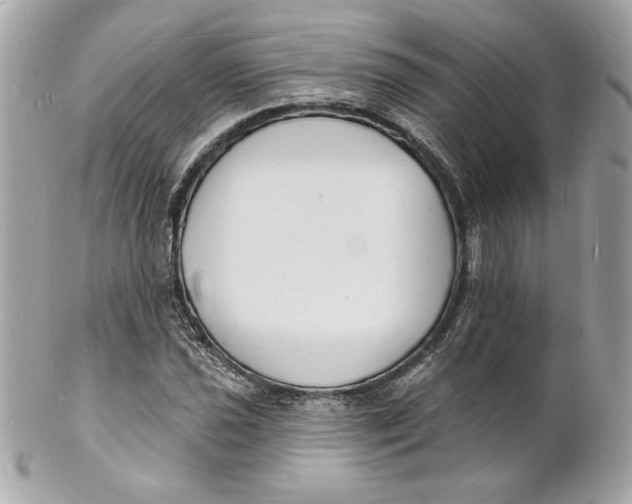 X0000102231021200808151724