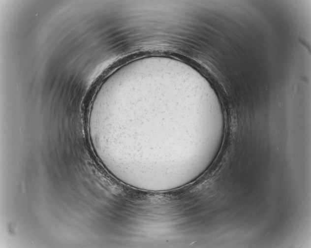 X0000102231022200808151724