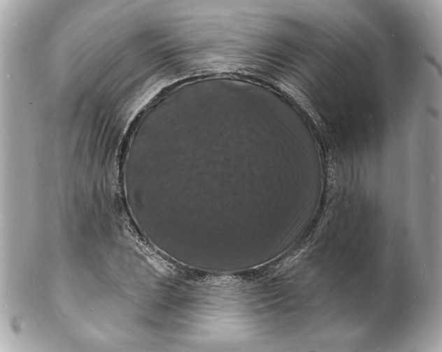 X0000102231023200808151724