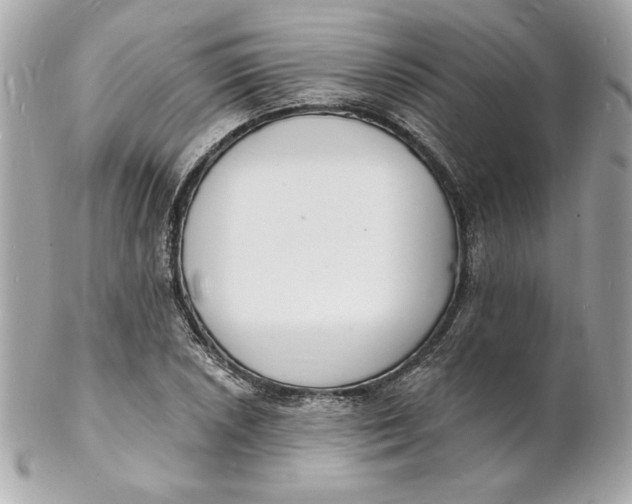 X0000102231026200808151724