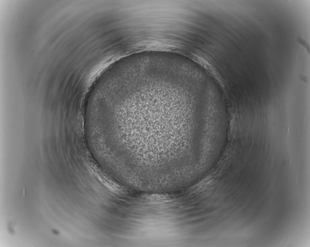 X0000102231027200808151724