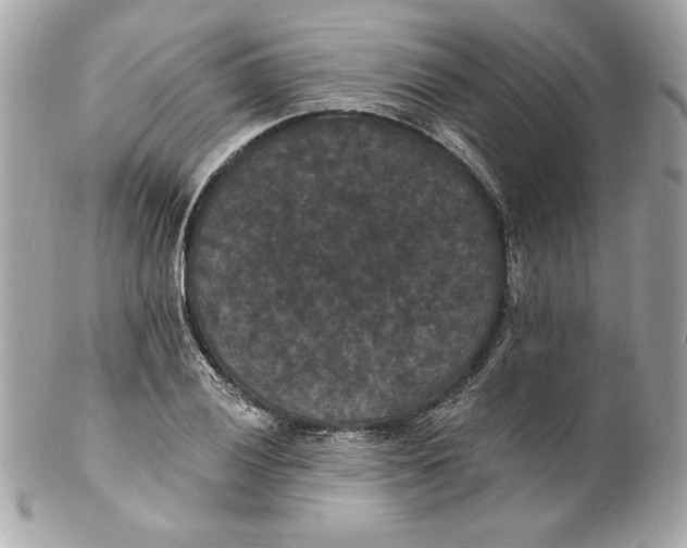 X0000102231028200808151724