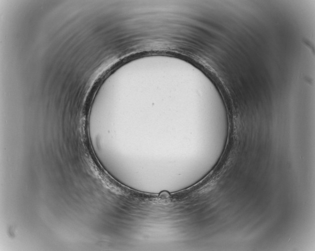 X0000102231029200808151724