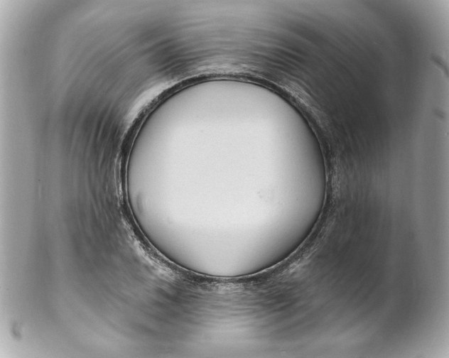 X0000102231030200808151724