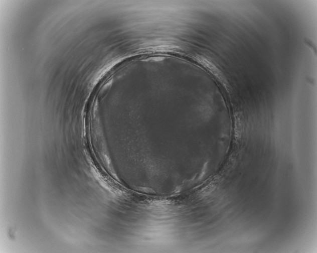 X0000102231031200808151724