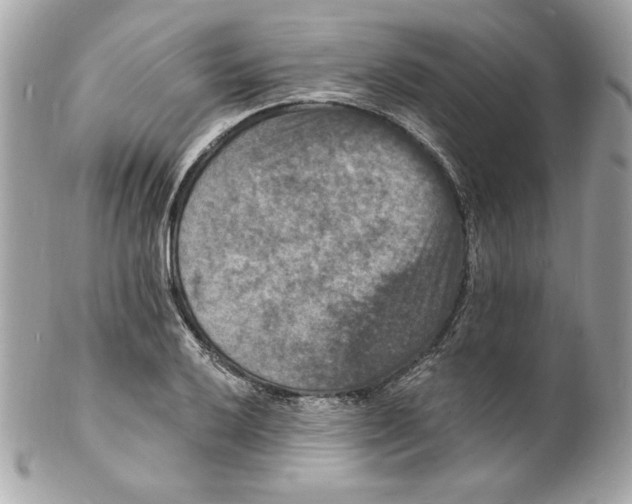 X0000102231032200808151724