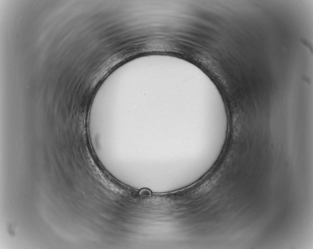 X0000102231033200808151724