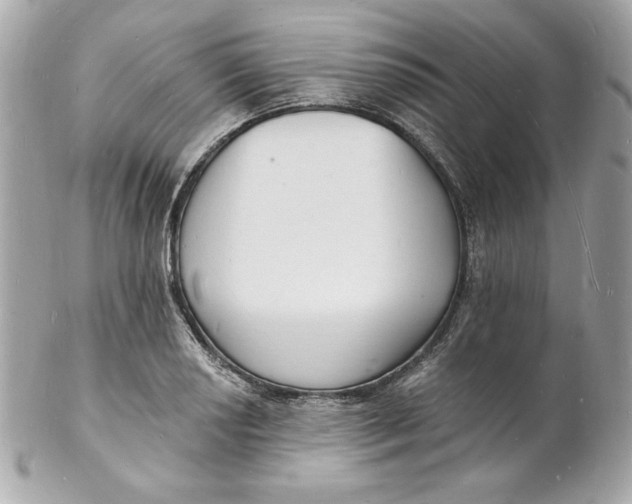 X0000102231034200808151724