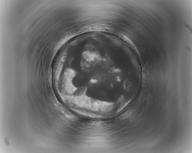 X0000102231035200808151724
