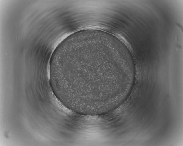 X0000102231036200808151724