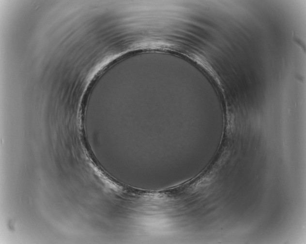X0000102231037200808151724
