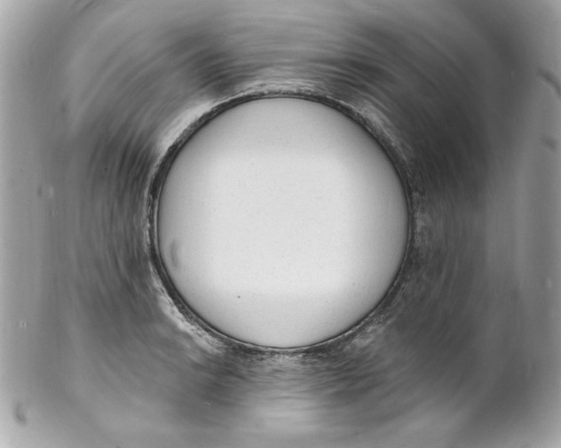 X0000102231038200808151724