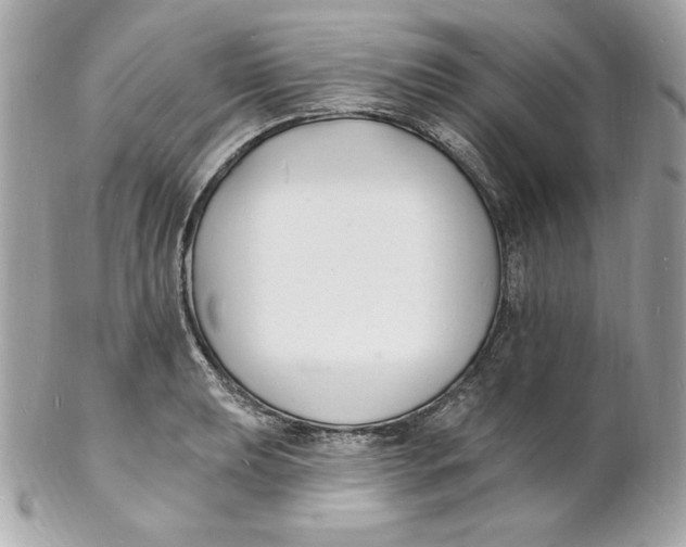 X0000102231039200808151724