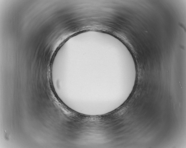 X0000102231040200808151724