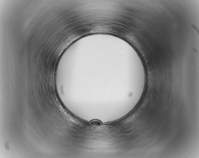 X0000102231041200808151724
