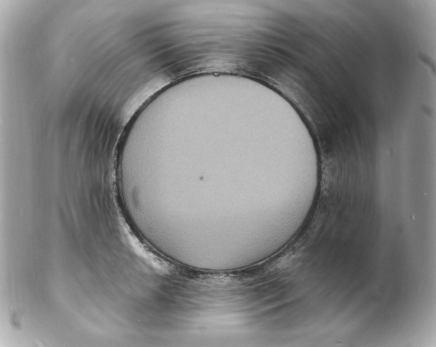 X0000102231042200808151724