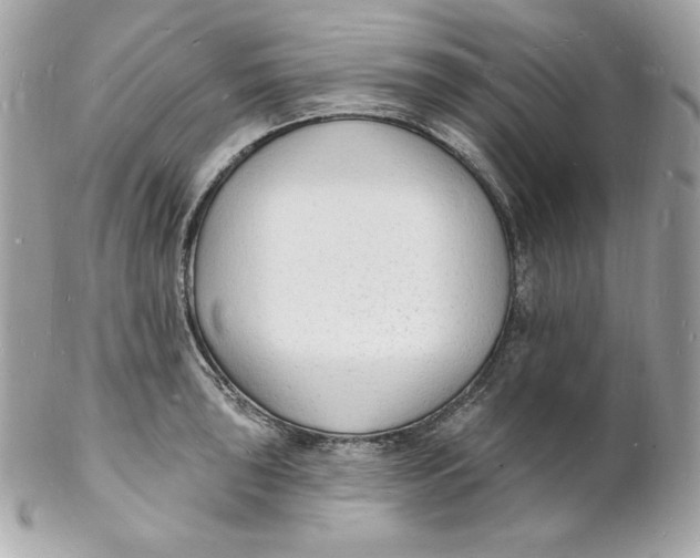X0000102231043200808151724
