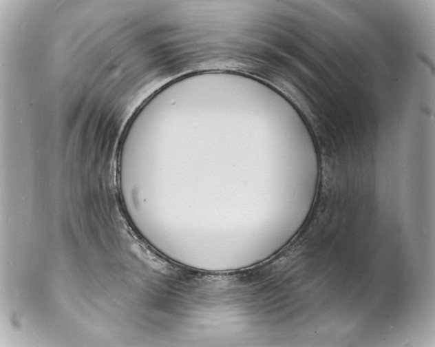 X0000102231044200808151724