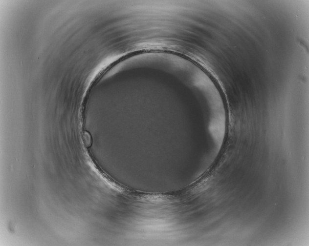 X0000102231045200808151724