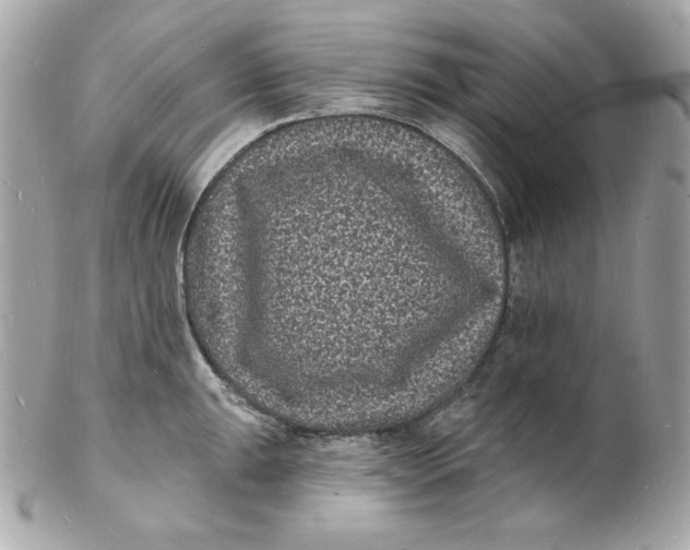 X0000102231047200808151724
