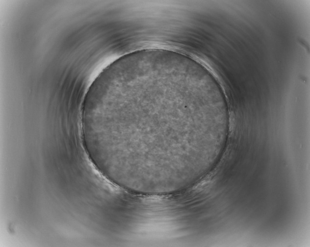 X0000102231048200808151724