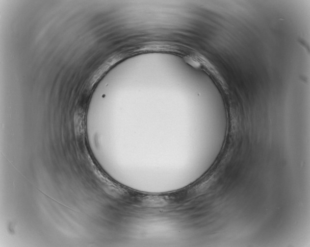 X0000102231049200808151724