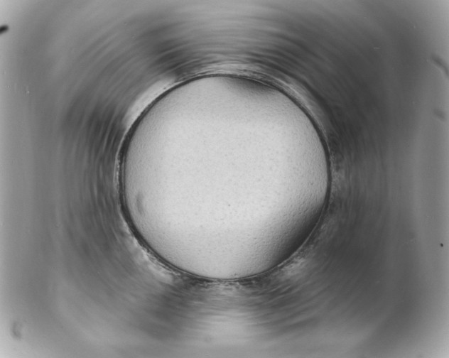 X0000102231050200808151724
