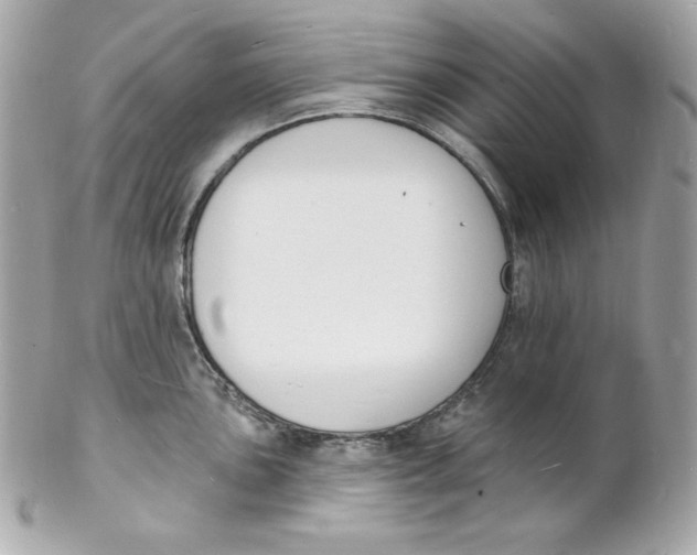X0000102231051200808151724