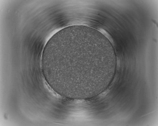 X0000102231052200808151724