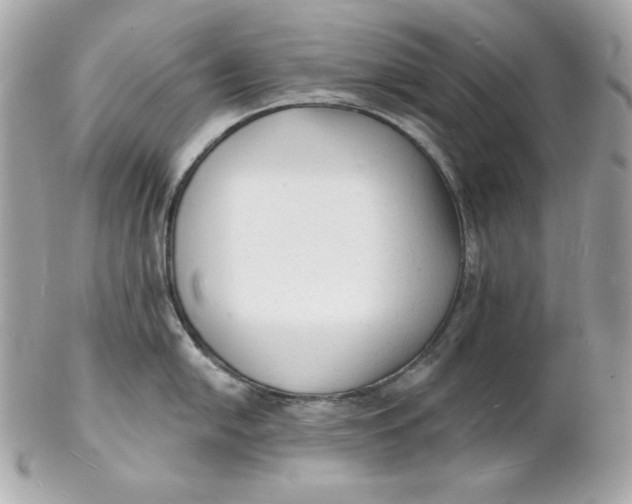 X0000102231054200808151724