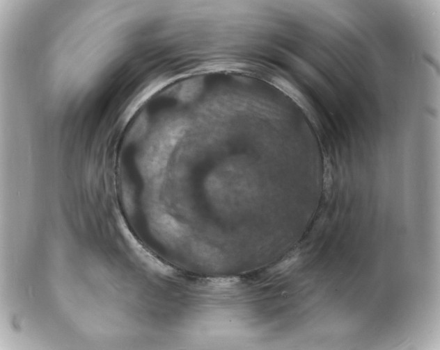 X0000102231055200808151724