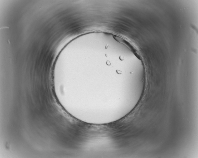 X0000102231056200808151724