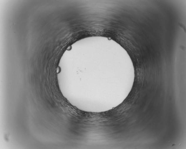X0000102231057200808151724