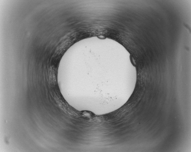 X0000102231058200808151724